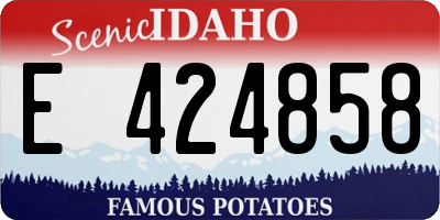 ID license plate E424858