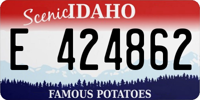ID license plate E424862