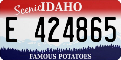 ID license plate E424865