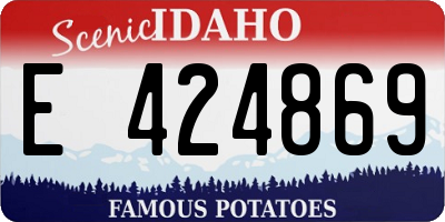 ID license plate E424869