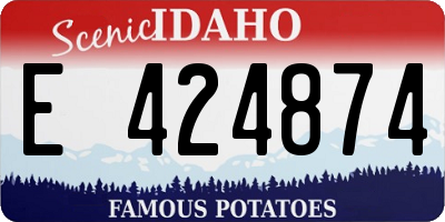 ID license plate E424874