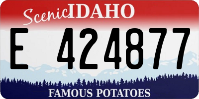 ID license plate E424877