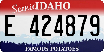 ID license plate E424879