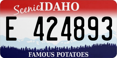 ID license plate E424893