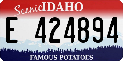 ID license plate E424894
