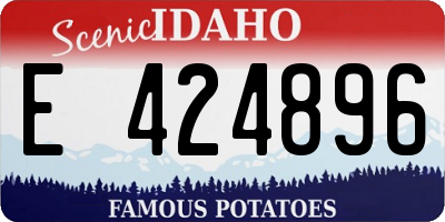 ID license plate E424896