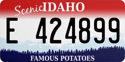 ID license plate E424899
