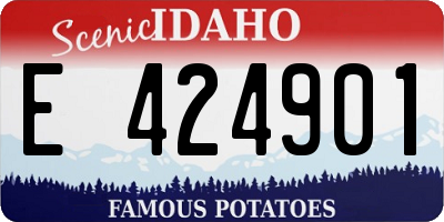 ID license plate E424901
