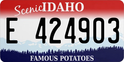 ID license plate E424903