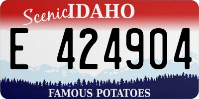 ID license plate E424904