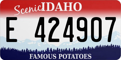 ID license plate E424907