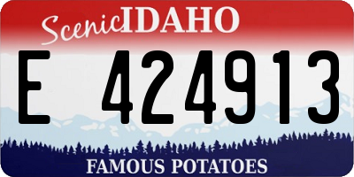 ID license plate E424913