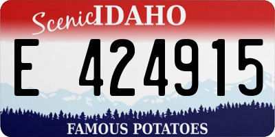 ID license plate E424915