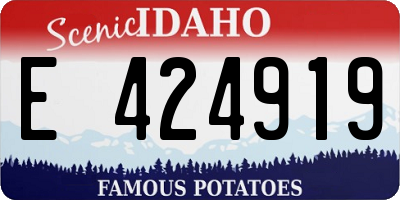 ID license plate E424919