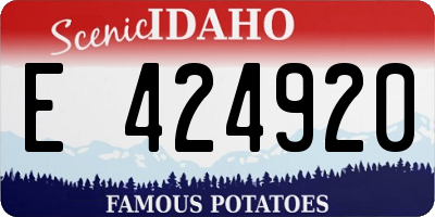 ID license plate E424920