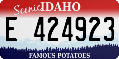 ID license plate E424923