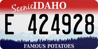 ID license plate E424928
