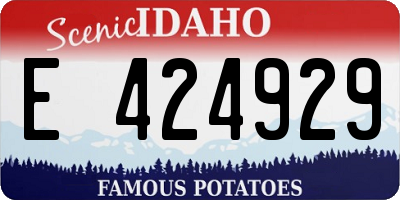 ID license plate E424929