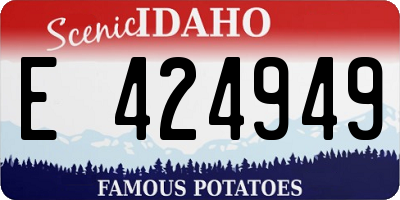 ID license plate E424949