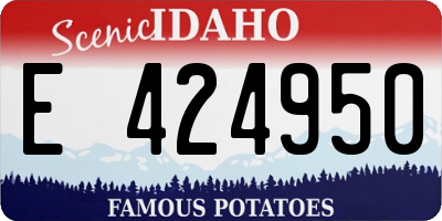 ID license plate E424950