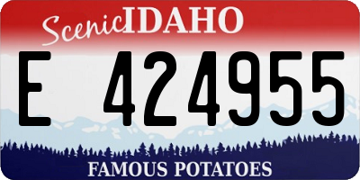 ID license plate E424955