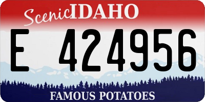 ID license plate E424956