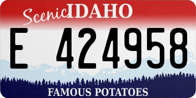 ID license plate E424958