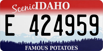 ID license plate E424959