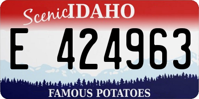 ID license plate E424963