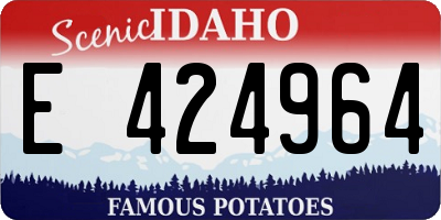 ID license plate E424964