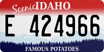 ID license plate E424966