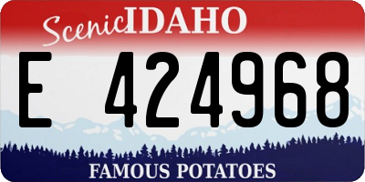 ID license plate E424968
