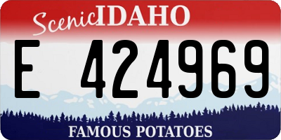 ID license plate E424969