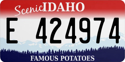 ID license plate E424974