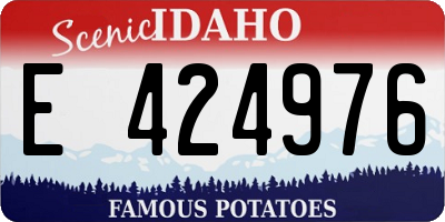 ID license plate E424976