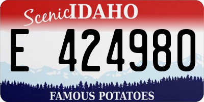 ID license plate E424980
