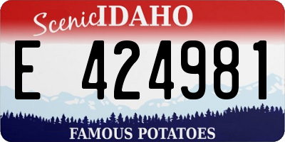 ID license plate E424981