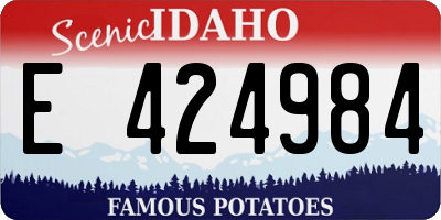 ID license plate E424984