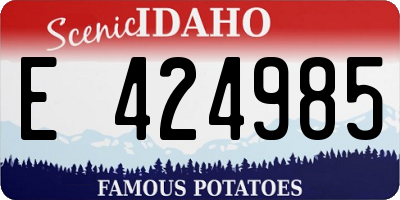 ID license plate E424985