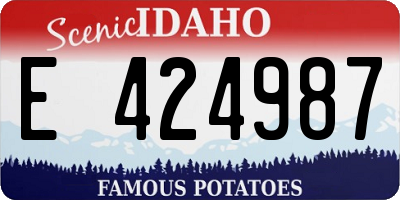 ID license plate E424987