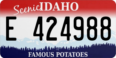ID license plate E424988