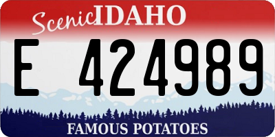 ID license plate E424989