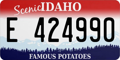 ID license plate E424990