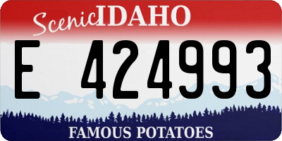 ID license plate E424993