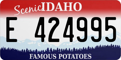 ID license plate E424995