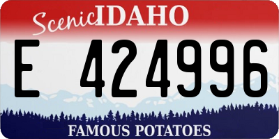 ID license plate E424996