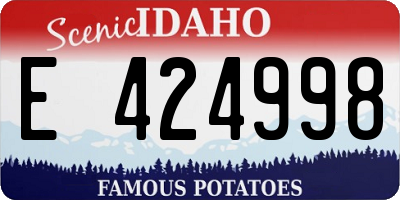 ID license plate E424998