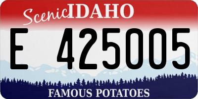 ID license plate E425005