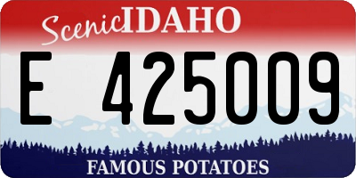 ID license plate E425009