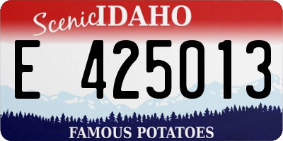 ID license plate E425013